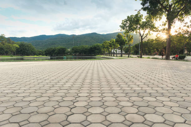 Best Permeable Paver Driveway  in Everman, TX